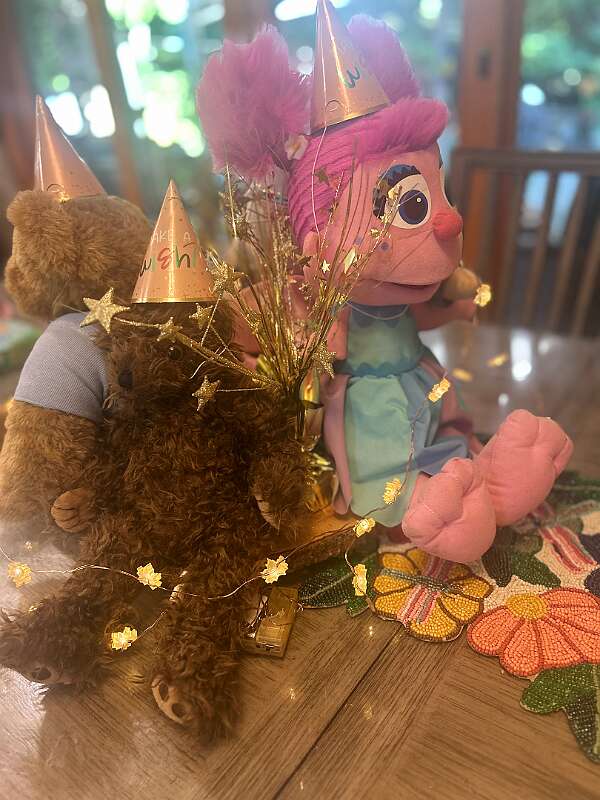 73: IMG_4381